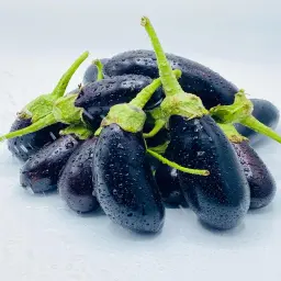 Stuffed Circled  Eggplant